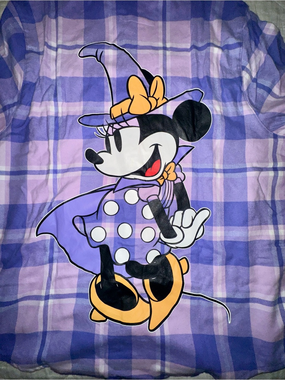 Cakeworthy Minnie Mouse Witch Purple Plaid Graphic Flannel Button Up Large